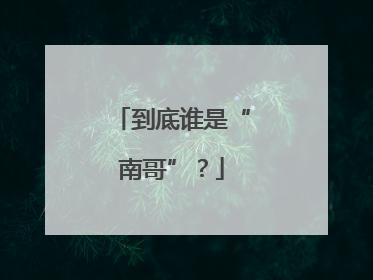 到底谁是“南哥”？