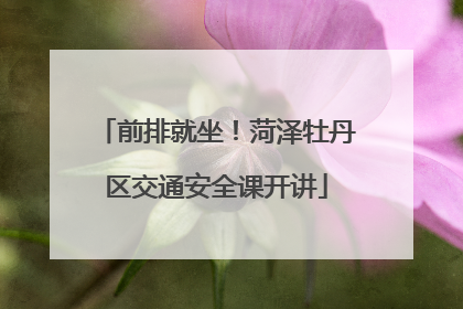 前排就坐！菏泽牡丹区交通安全课开讲