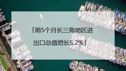 前5个月长三角地区进出口总值增长5.2%