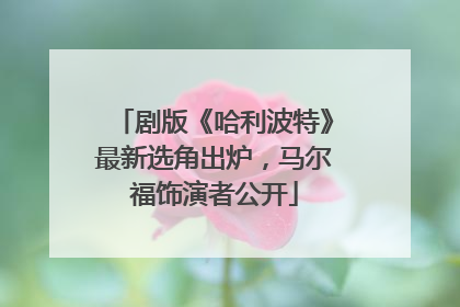 剧版《哈利波特》最新选角出炉，马尔福饰演者公开