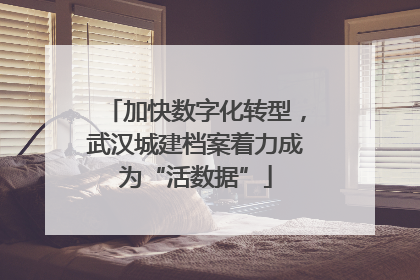 加快数字化转型，武汉城建档案着力成为“活数据”