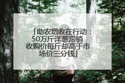 助农增收在行动：50万斤洋葱滞销 收购价每斤却高于市场价三分钱