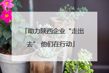 助力陕西企业“走出去” 他们在行动
