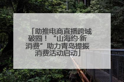 助推电商直播跨域破圈！“山海约·新消费”助力青岛提振消费活动启动