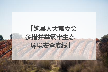 勉县人大常委会多措并举筑牢生态环境安全底线