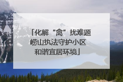 化解“禽”扰难题 崂山执法守护小区和谐宜居环境