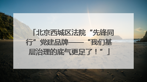 北京西城区法院“先锋同行”党建品牌——“我们基层治理的底气更足了！”