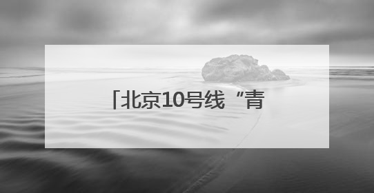 北京10号线“青创村”变身“萌宠欢乐谷” 以宠会友解锁青年社交新范式