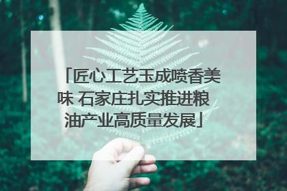 匠心工艺玉成喷香美味 石家庄扎实推进粮油产业高质量发展