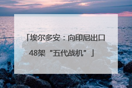 埃尔多安：向印尼出口48架“五代战机”