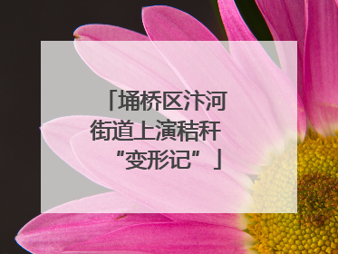 埇桥区汴河街道上演秸秆“变形记”