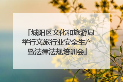 城阳区文化和旅游局举行文旅行业安全生产暨法律法规培训会