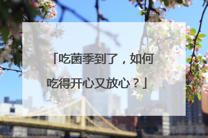 吃菌季到了，如何吃得开心又放心？