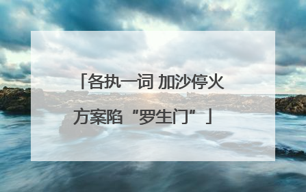 各执一词 加沙停火方案陷“罗生门”