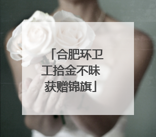 合肥环卫工拾金不昧获赠锦旗