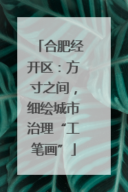合肥经开区：方寸之间，细绘城市治理“工笔画”