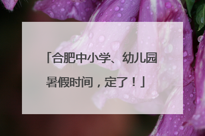 合肥中小学、幼儿园暑假时间，定了！