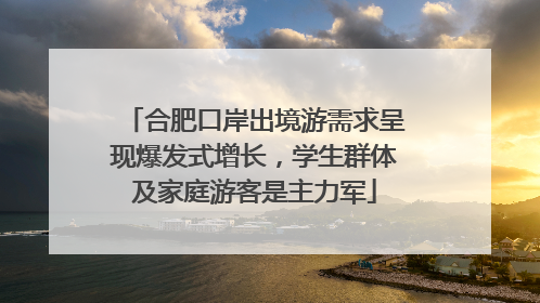 合肥口岸出境游需求呈现爆发式增长，学生群体及家庭游客是主力军