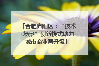 合肥庐阳区：“技术+场景”创新模式助力城市商业再升级