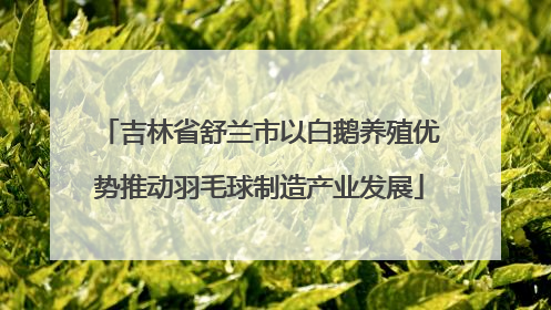 吉林省舒兰市以白鹅养殖优势推动羽毛球制造产业发展