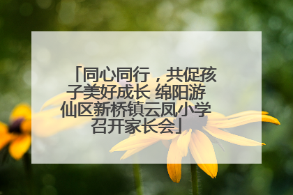 同心同行，共促孩子美好成长 绵阳游仙区新桥镇云凤小学召开家长会
