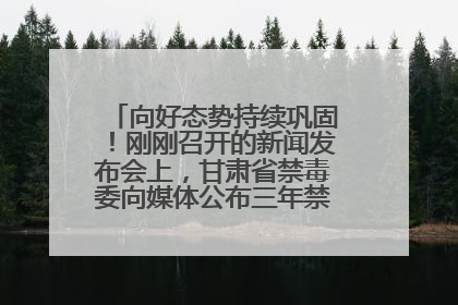 向好态势持续巩固！刚刚召开的新闻发布会上，甘肃省禁毒委向媒体公布三年禁毒工作“成绩单”