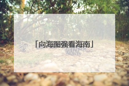 向海图强看海南