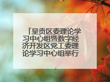 呈贡区委理论学习中心组暨数字经济开发区党工委理论学习中心组举行2025年第七次学习会议