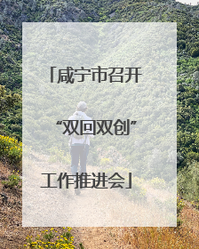 咸宁市召开“双回双创”工作推进会