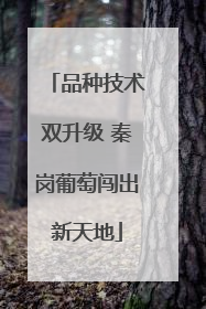 品种技术双升级 秦岗葡萄闯出新天地