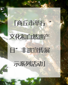商丘市举行“文化和自然遗产日”非遗宣传展示系列活动