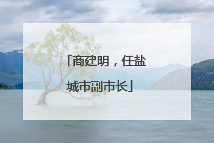 商建明，任盐城市副市长