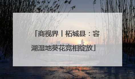 商视界丨柘城县：容湖湿地葵花竞相绽放