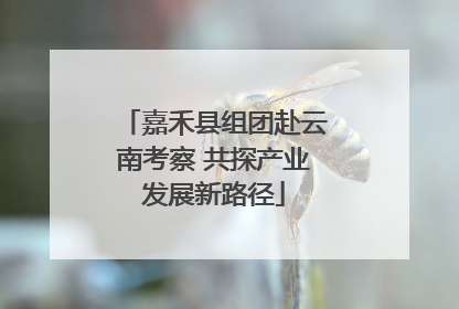 嘉禾县组团赴云南考察 共探产业发展新路径