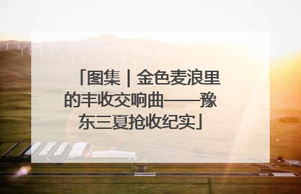 图集｜金色麦浪里的丰收交响曲——豫东三夏抢收纪实