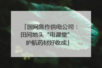 国网焦作供电公司：田间地头“电课堂” 护航药材好收成