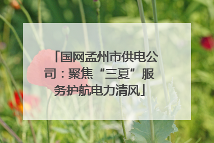国网孟州市供电公司：聚焦“三夏”服务护航电力清风