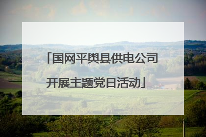 国网平舆县供电公司开展主题党日活动