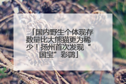 国内野生个体现存数量比大熊猫更为稀少！扬州首次发现“国宝”彩鹮