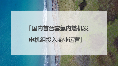 国内首台套氢内燃机发电机组投入商业运营