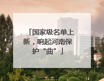 国家级名单上新，响起河南保护“曲”