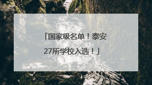 国家级名单！泰安27所学校入选！