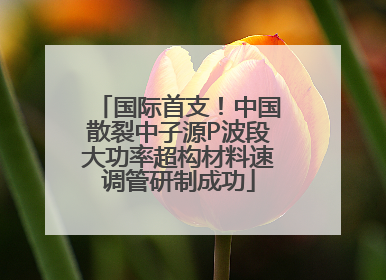 国际首支！中国散裂中子源P波段大功率超构材料速调管研制成功