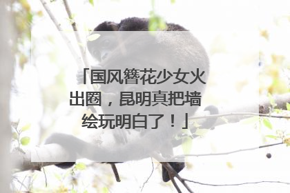 国风簪花少女火出圈，昆明真把墙绘玩明白了！