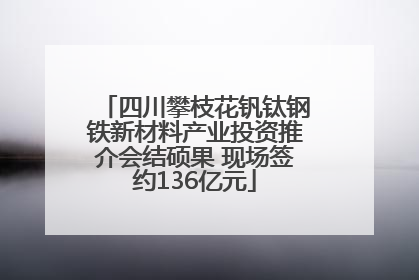 四川攀枝花钒钛钢铁新材料产业投资推介会结硕果 现场签约136亿元