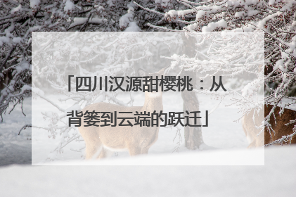 四川汉源甜樱桃：从背篓到云端的跃迁