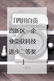 四川自贡高新区一企业荣获科技进步二等奖