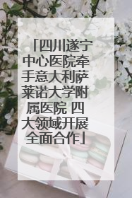 四川遂宁中心医院牵手意大利萨莱诺大学附属医院 四大领域开展全面合作