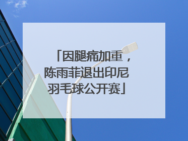 因腿痛加重，陈雨菲退出印尼羽毛球公开赛