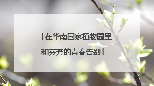 在华南国家植物园里和芬芳的青春告别